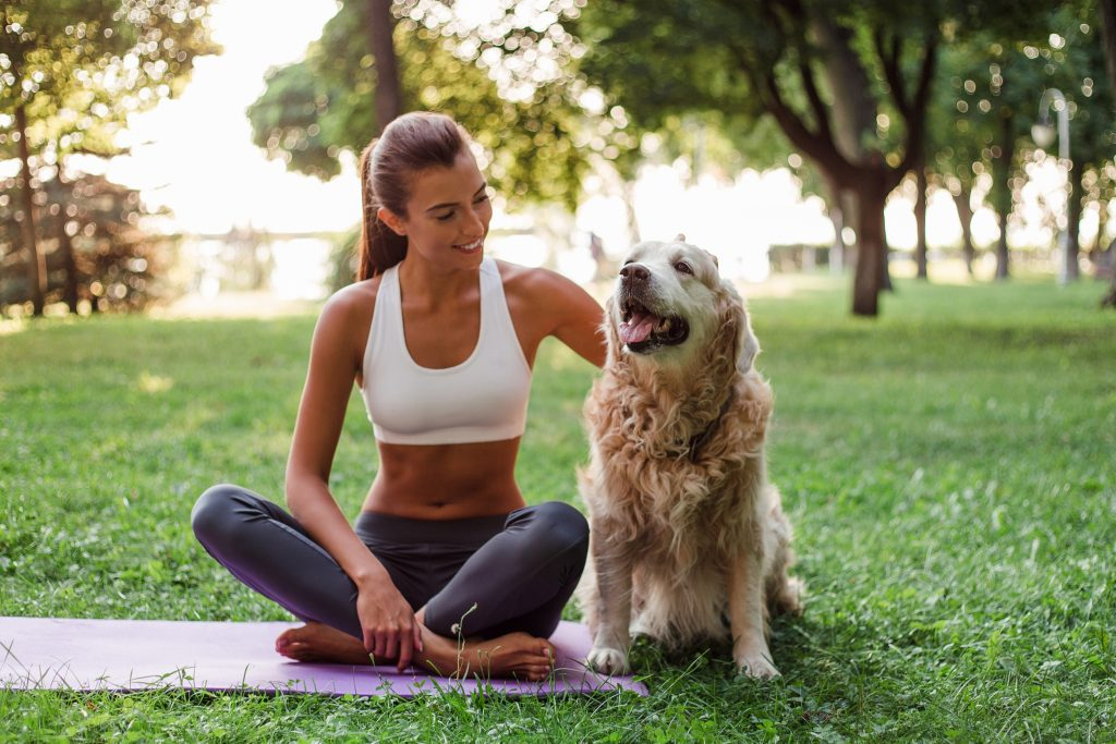 Yoga med hund