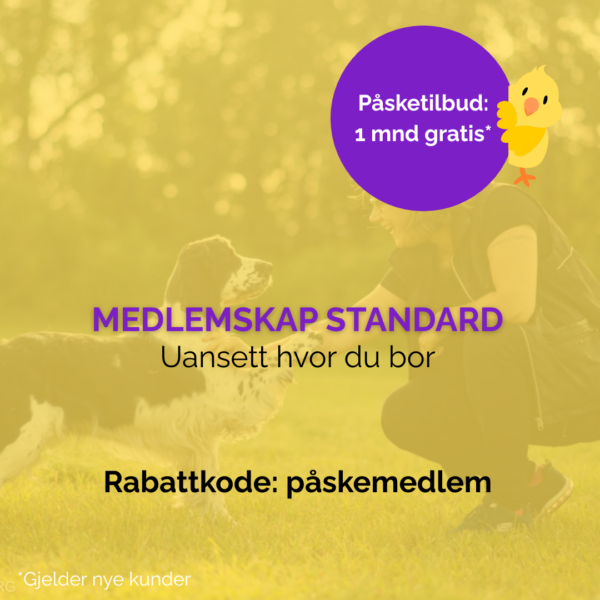 Medlemskap Standard 1 mnd