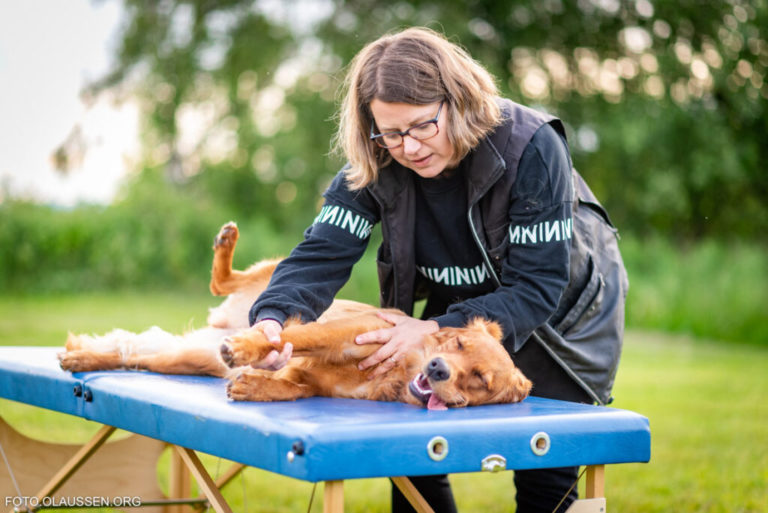 fysioterapi-hundesenteret