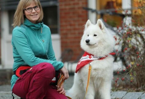 Lise terapihund